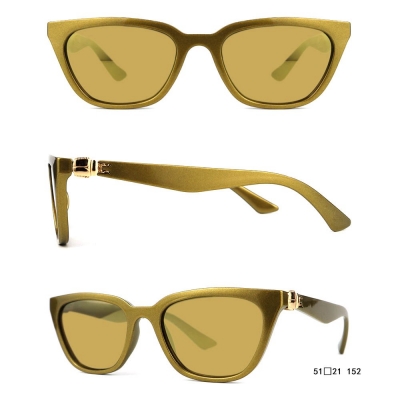 PC Frame Sunglasses