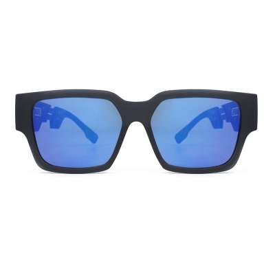 PC Frame Sunglasses