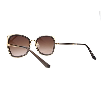 PC Frame Sunglasses