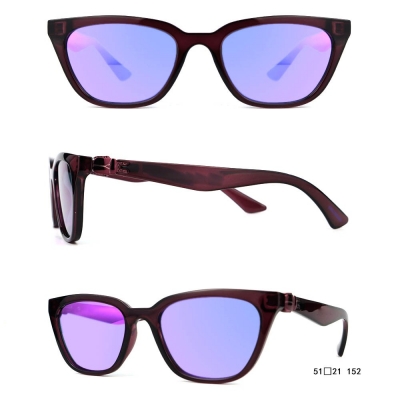 PC Frame Sunglasses