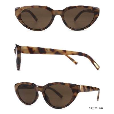 PC Frame Sunglasses