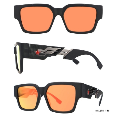 PC Frame Sunglasses