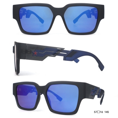 PC Frame Sunglasses