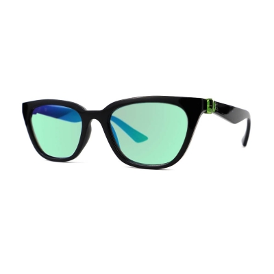 PC Frame Sunglasses