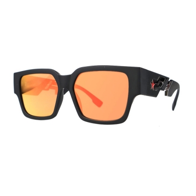 PC Frame Sunglasses