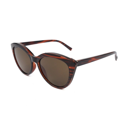 PC Frame Sunglasses