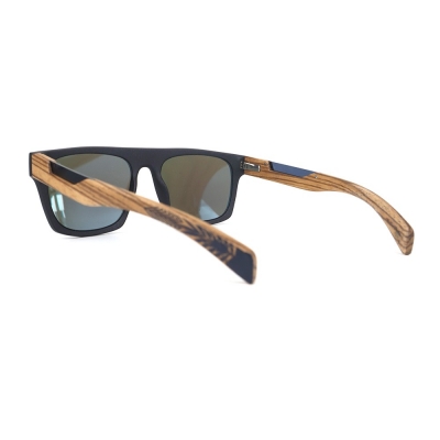 PC Frame Sunglasses