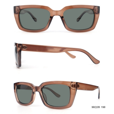 PC Frame Sunglasses