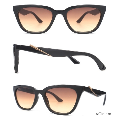 PC Frame Sunglasses