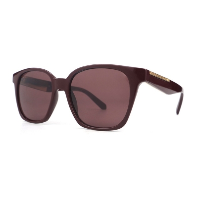 PC Frame Sunglasses