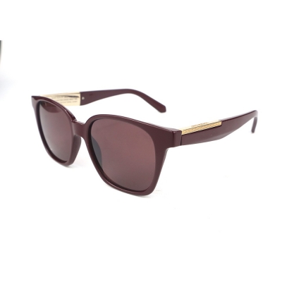 PC Frame Sunglasses