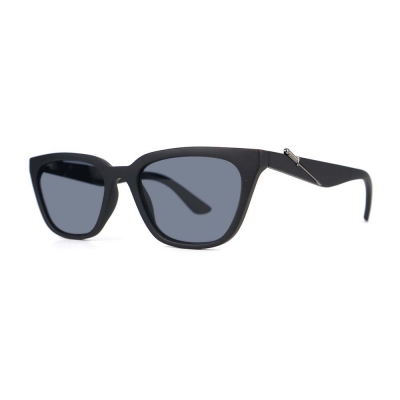 PC Frame Sunglasses