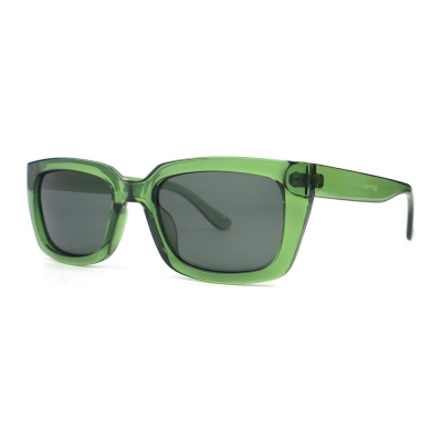 PC Frame Sunglasses