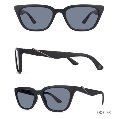 PC Frame Sunglasses