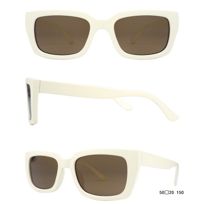 PC Frame Sunglasses