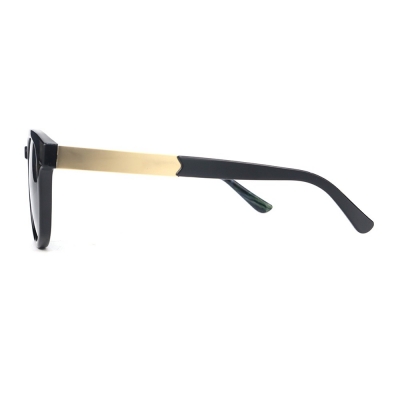 PC Frame Sunglasses