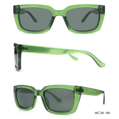 PC Frame Sunglasses