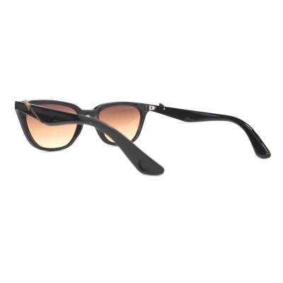 PC Frame Sunglasses