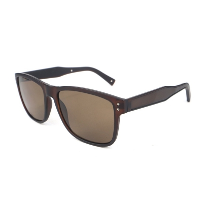 PC Frame Sunglasses