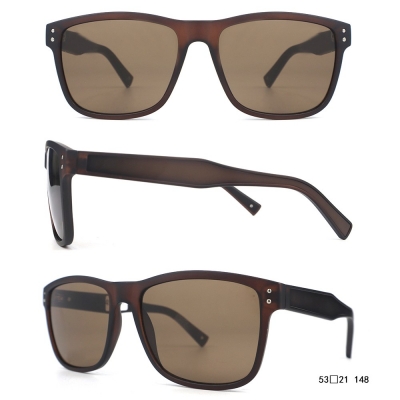 PC Frame Sunglasses