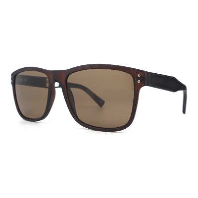 PC Frame Sunglasses