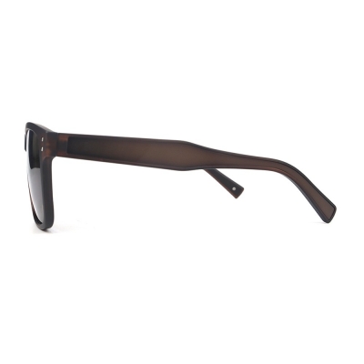 PC Frame Sunglasses