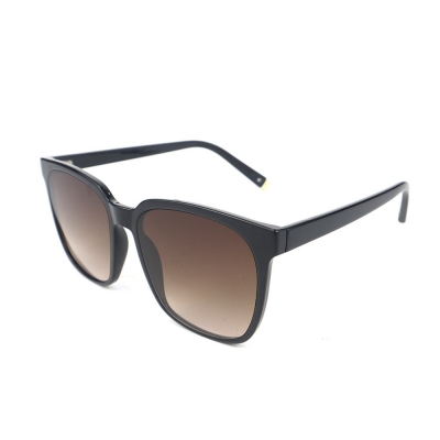 PC Frame Sunglasses