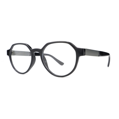 PC Frame Sunglasses