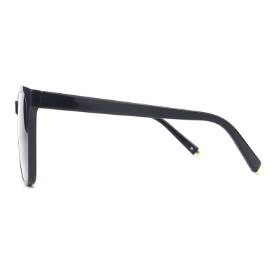 PC Frame Sunglasses