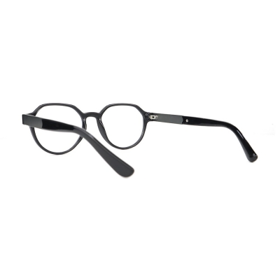 PC Frame Sunglasses