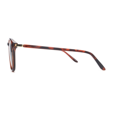 PC Frame Sunglasses