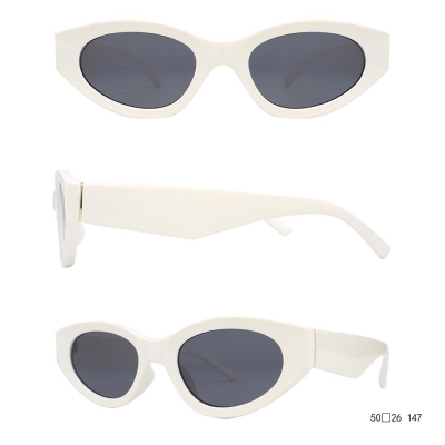 PC Frame Sunglasses