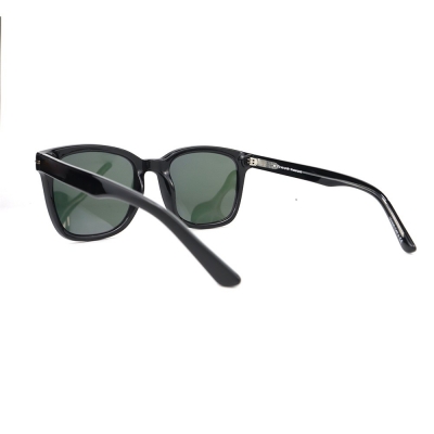 PC Frame Sunglasses
