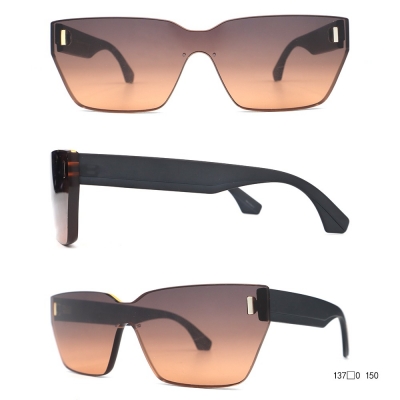 PC Frame Sunglasses