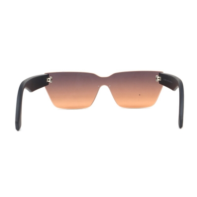 PC Frame Sunglasses