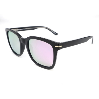 PC Frame Sunglasses