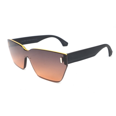 PC Frame Sunglasses