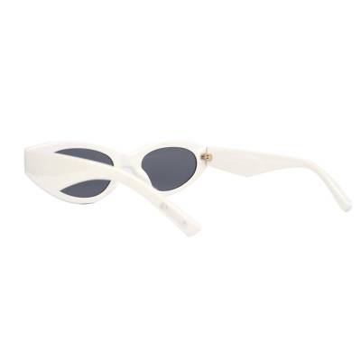 PC Frame Sunglasses