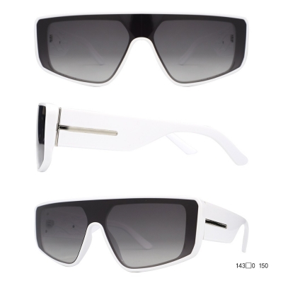 PC Frame Sunglasses
