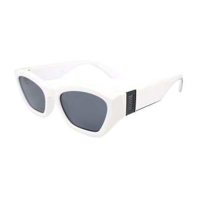 PC Frame Sunglasses