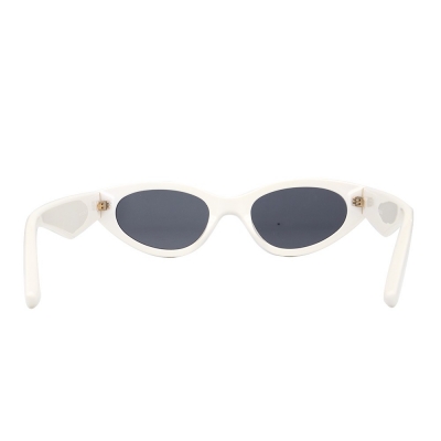 PC Frame Sunglasses