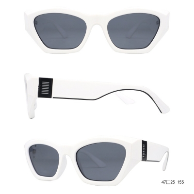PC Frame Sunglasses