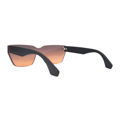 PC Frame Sunglasses