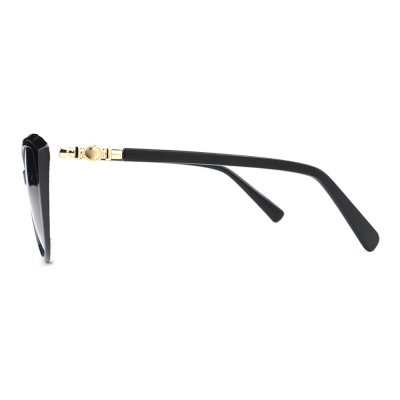 PC Frame Sunglasses