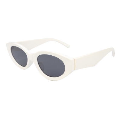 PC Frame Sunglasses