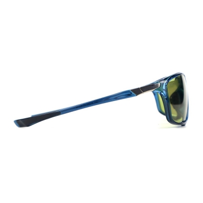 PC Frame Sunglasses