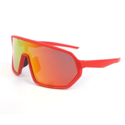 PC Frame Sunglasses