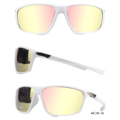PC Frame Sunglasses
