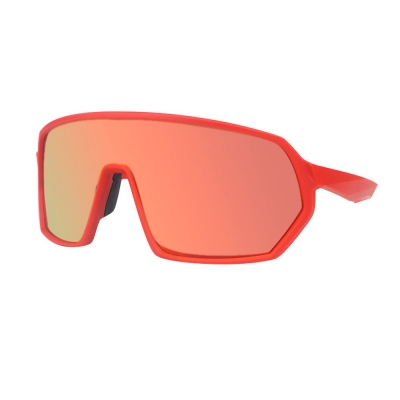 PC Frame Sunglasses