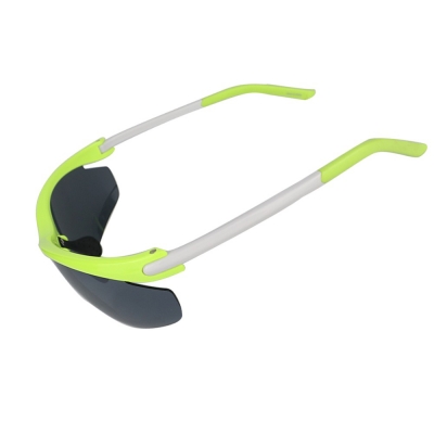 PC Frame Sunglasses